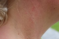 09.07.2012 19-42-50_0003.JPG