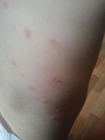 2012-07-20 15.28.48.jpg