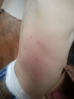 2012-07-20 15.29.12.jpg