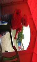 IMG_1154.jpg