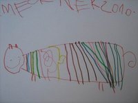 regenbogenkatze_2.jpg