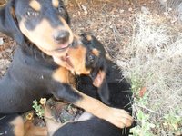 SAM_0937.jpg