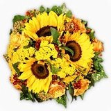 xsunnyday_m1.jpg