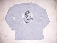 grau Shirt 3 Euro.jpg