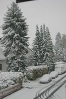 IMG_7537.JPG
