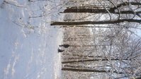 Bild1_2012.jpg