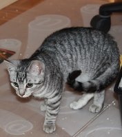 IMG_4955.JPG IMG_4955.JPG