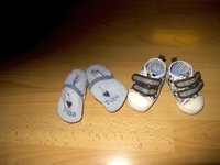 IMG_1517.jpg