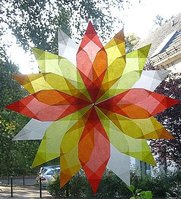 Fensterstern-Herbstsf.jpg
