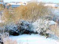 IMG00041klein.jpg