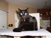 IMG00018klein.jpg