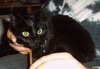 Sammy2.jpg