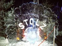pfau37.jpg