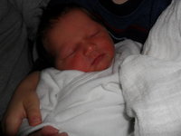 SAM_0370.jpg