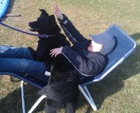 05-Couch.jpg 05-Couch.jpg