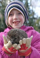 Igel1.jpg