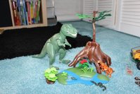 IMG_5485-1.jpg
