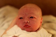 IMG_1153[1].jpg