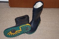 IMG_0100.jpg