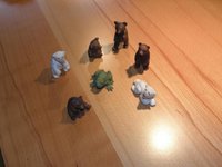 Bären Frosch kleine.jpg