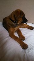 IMG-20140329-WA0005.jpg