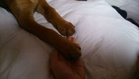 IMG-20140329-WA0012.jpg