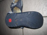 IMG_0362.jpg