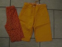 IMG_0431.jpg