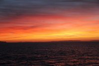IMG_5526.jpg