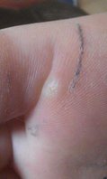 IMAG0064.jpg