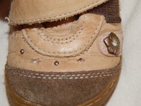 DSCN4003.jpg