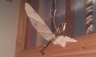 IMAG0450.jpg IMAG0450.jpg