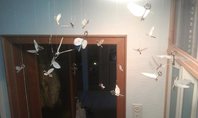 IMAG0448.jpg IMAG0448.jpg