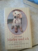 20160628_094221.jpg