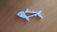 IMG_20170215_150459.jpg