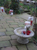 Garten-im-Winter.jpg