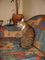 heidi4.jpg