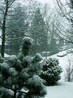 03-2006 059.jpg