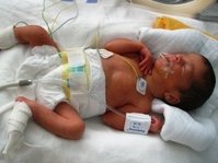 Two weeks old-2.JPG