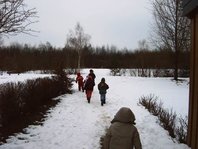maerzschnee01.jpg