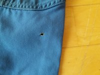 20171009_095034.jpg