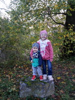 IMG_20171029_160141.jpg