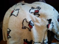 IMG_20180906_175251.jpg