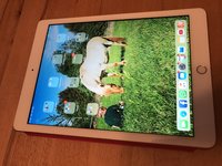 5490D52D-EA98-45FC-A9BF-CAF3B22D49BE.jpeg