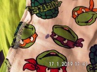 Schlafi Turtles 3.jpg