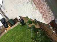 07481C06-403B-4770-AD89-4599872BC885.jpeg