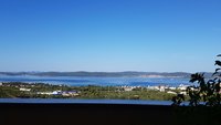 20190723_083103.jpg
