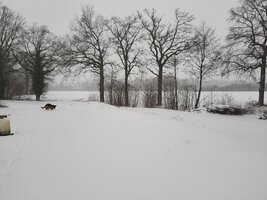 20210207_104715.jpg