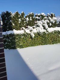20210209_132052.jpg