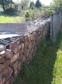 IMG_20210511_120117.jpg